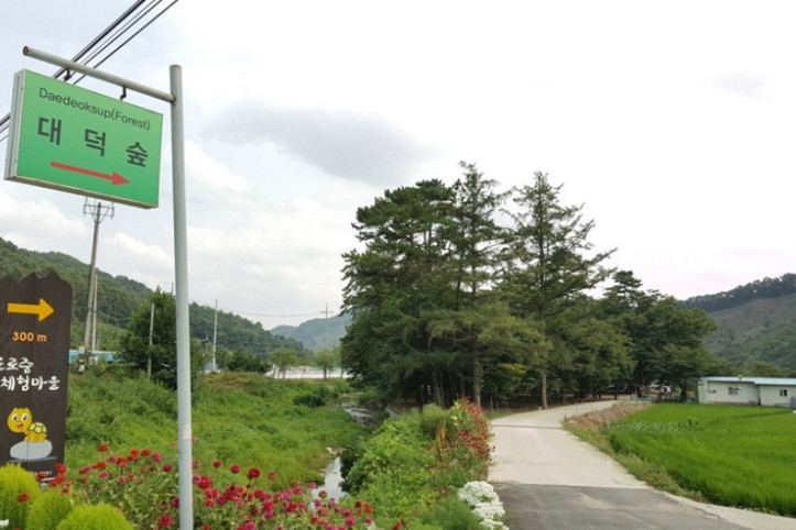 대덕숲유원지 여행 추천 - 메고지고