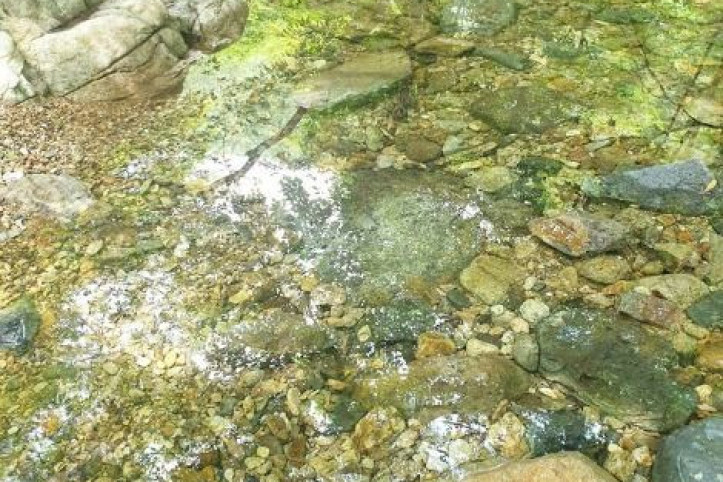 운장산(진안) 여행 추천 - 메고지고