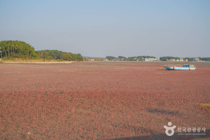 해뜨는 대부도 고랫부리 여행 추천 - 메고지고