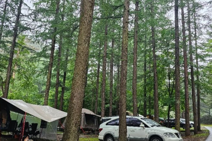 국립청옥산자연휴양림 여행 추천 - 메고지고