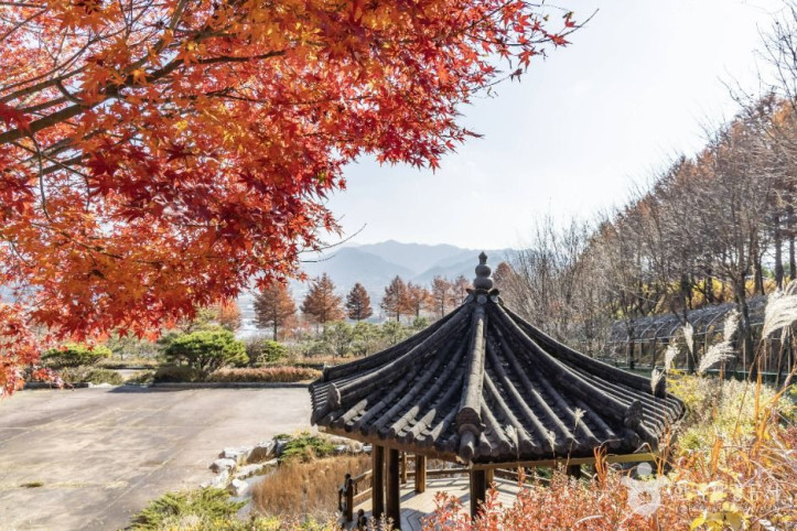 고원화목원 여행 추천 - 메고지고