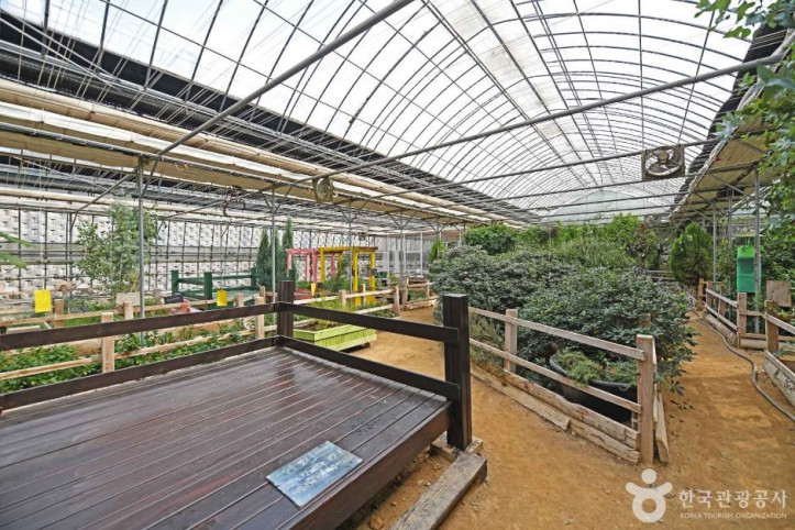 원평허브농원 여행 추천 - 메고지고