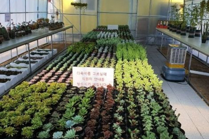 강릉아기동물농장 여행 추천 - 메고지고