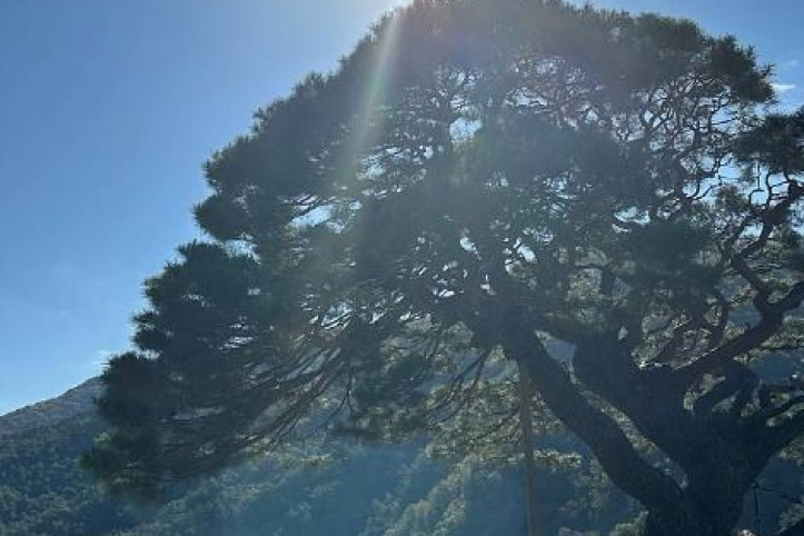 단풍산 여행 추천 - 메고지고