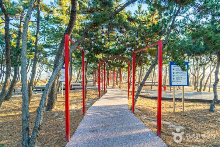 무안낙지공원 여행 추천 - 메고지고