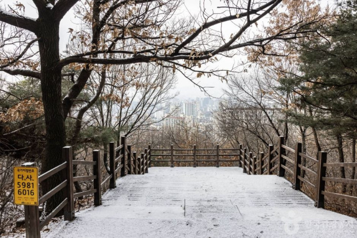 초안산 여행 추천 - 메고지고
