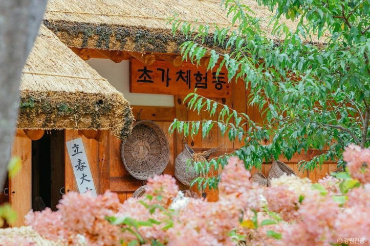 수타사 농촌테마공원 여행 추천 - 메고지고