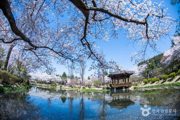 경주 보문관광단지 여행 추천 - 메고지고