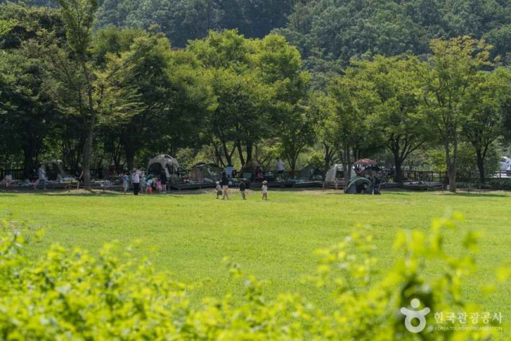 용인자연휴양림 여행 추천 - 메고지고