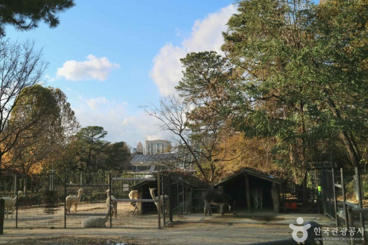 서울어린이대공원 여행 추천 - 메고지고