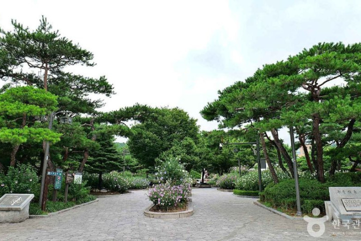 무궁화동산 여행 추천 - 메고지고