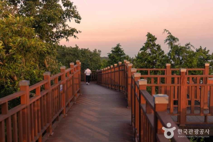 봉래산(부산) 여행 추천 - 메고지고