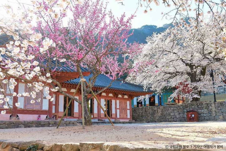 내소사(부안) 여행 추천 - 메고지고