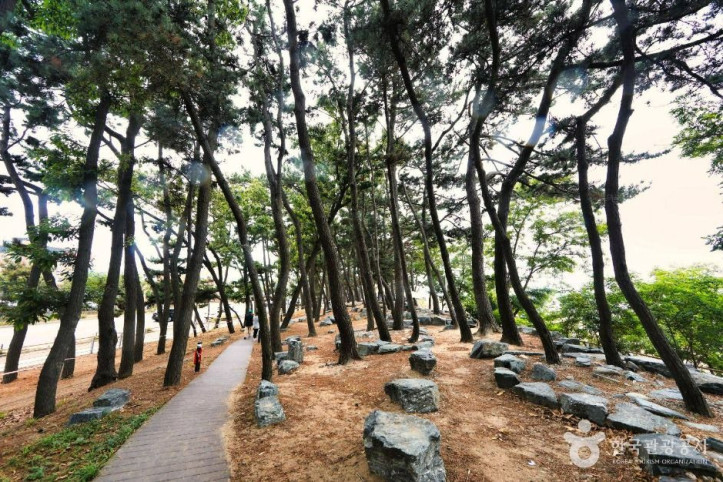 방아머리해변 여행 추천 - 메고지고