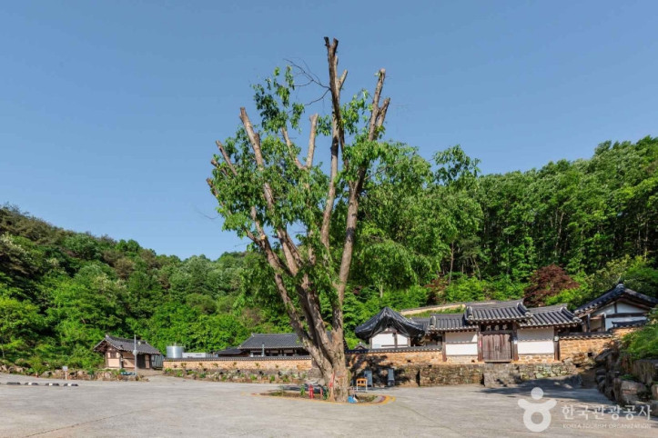 광제서원 여행 추천 - 메고지고