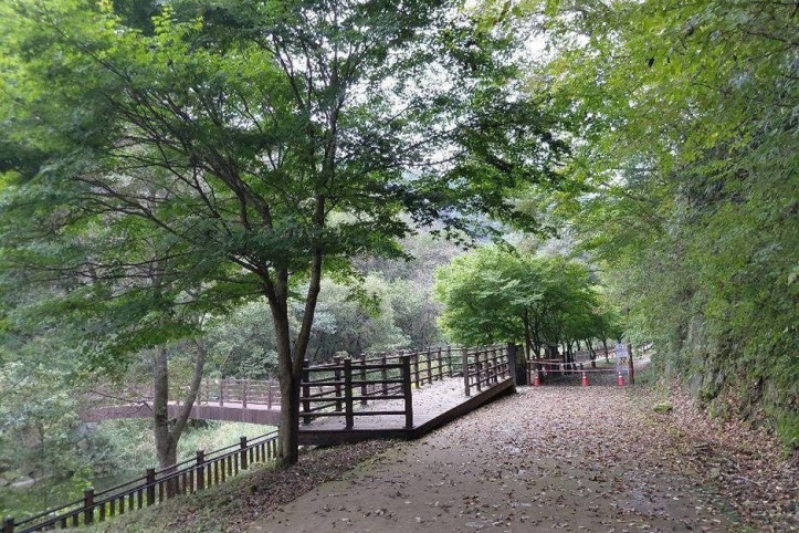 방화동자연휴양림·가족휴가촌 여행 추천 - 메고지고