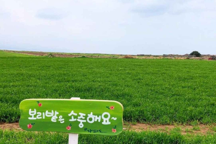 가파도 소망전망대 여행 추천 - 메고지고