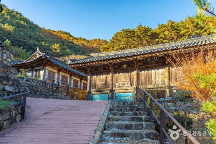 장육사 여행 추천 - 메고지고