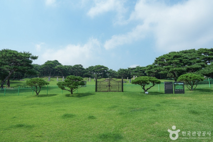 영신공원 여행 추천 - 메고지고