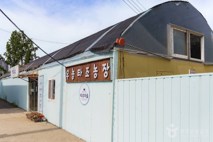 우농타조농장 여행 추천 - 메고지고