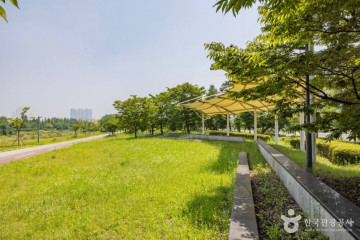 정서진 여행 추천 - 메고지고