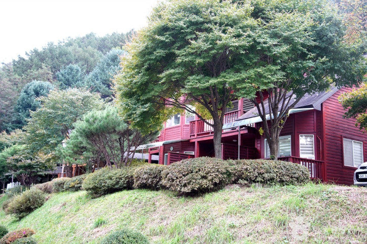 국립 백운산자연휴양림(원주) 여행 추천 - 메고지고