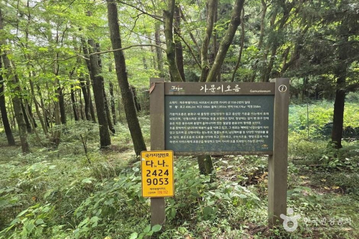 가문이오름(감은이오름) 여행 추천 - 메고지고