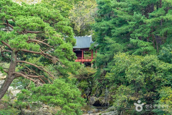용연정 여행 추천 - 메고지고