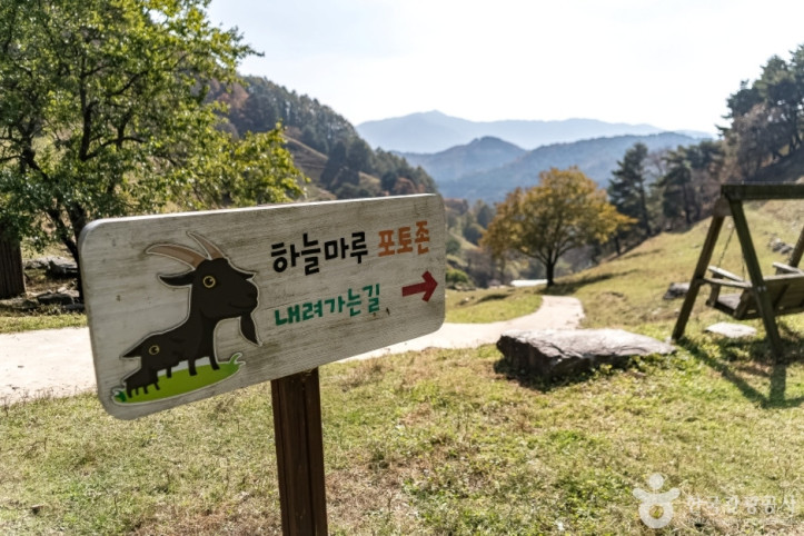 하늘마루염소목장 여행 추천 - 메고지고