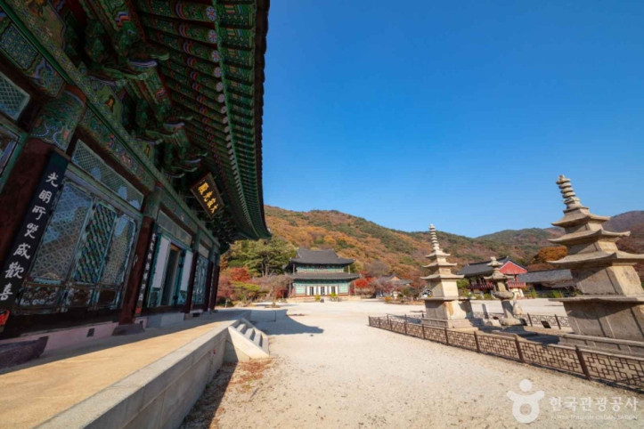 보림사(장흥) 여행 추천 - 메고지고