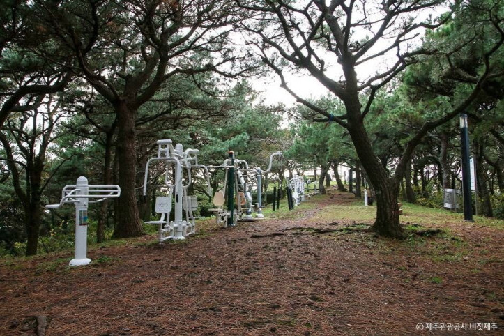 삼매봉 여행 추천 - 메고지고