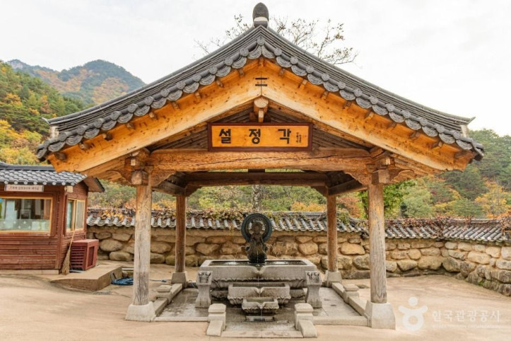 신흥사(설악산) 여행 추천 - 메고지고