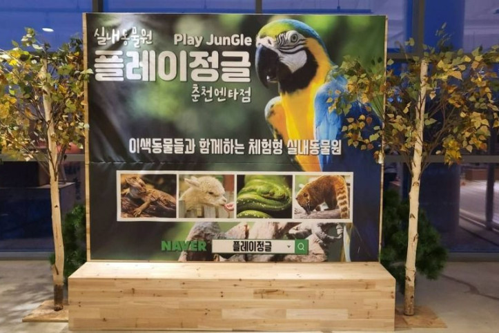 플레이정글 춘천엔타점 여행 추천 - 메고지고