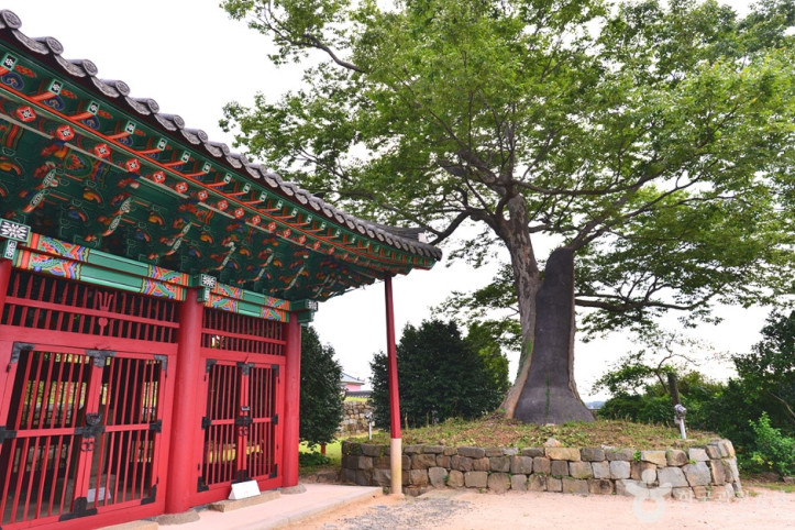 여수 타루비 여행 추천 - 메고지고