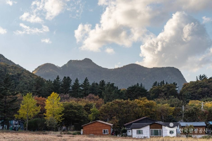 알봉 (울릉도, 독도 국가지질공원) 여행 추천 - 메고지고
