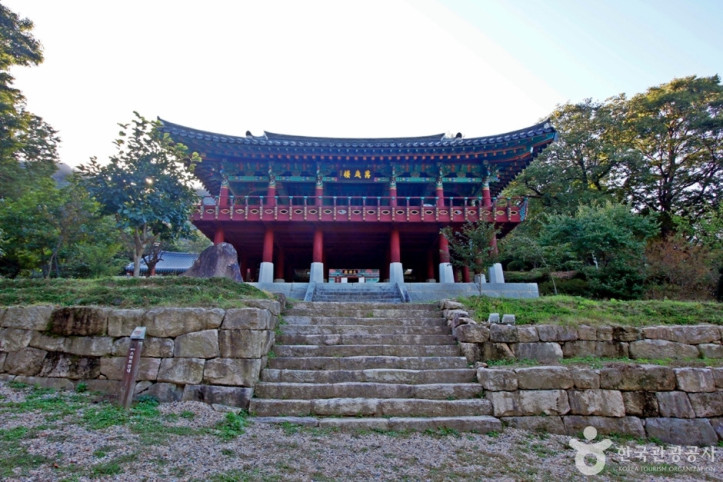 영국사(영동) 여행 추천 - 메고지고