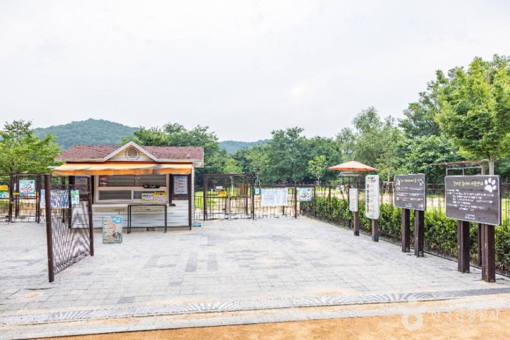 인천대공원 반려동물 놀이터 여행 추천 - 메고지고
