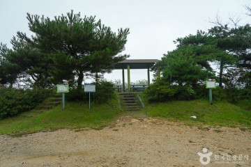 난지섬해수욕장 여행 추천 - 메고지고