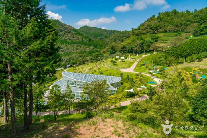 한국차문화공원 여행 추천 - 메고지고