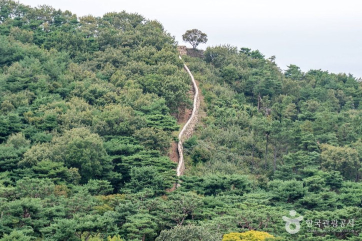 정족산 여행 추천 - 메고지고