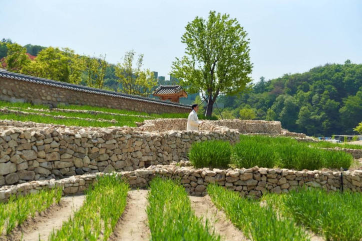 메덩골정원 여행 추천 - 메고지고
