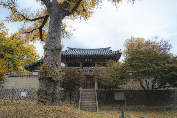 동락서원 여행 추천 - 메고지고