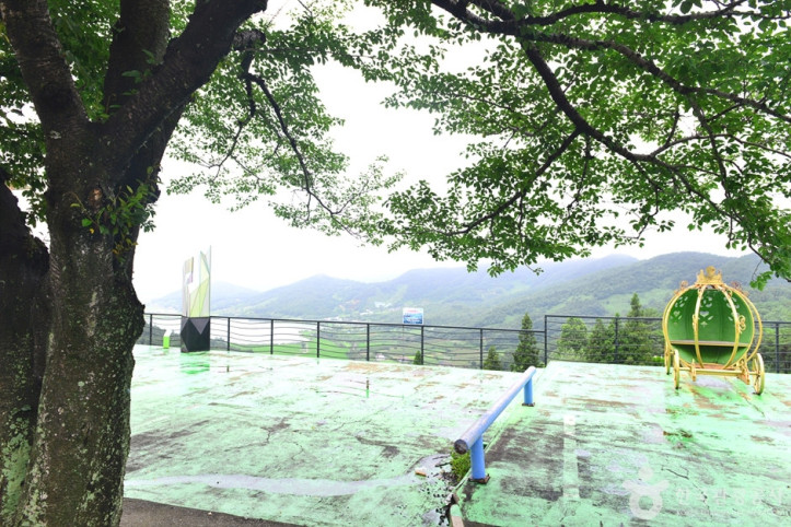 보성 차밭 전망대 여행 추천 - 메고지고