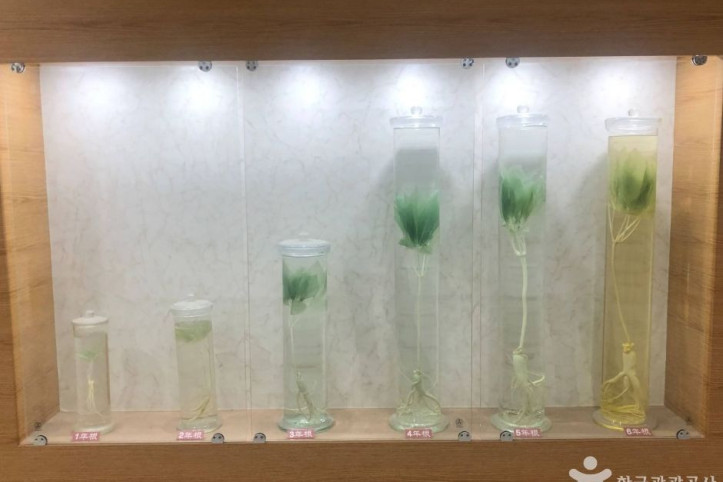 KGC인삼공사 원주공장 여행 추천 - 메고지고