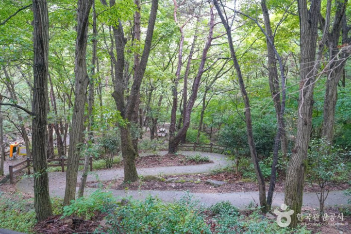 백양산 웰빙숲 여행 추천 - 메고지고