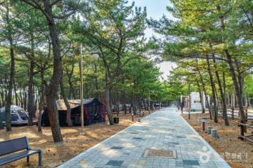 영리해수욕장 여행 추천 - 메고지고