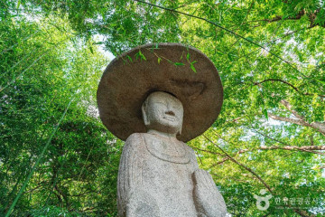동죽서원 여행 추천 - 메고지고