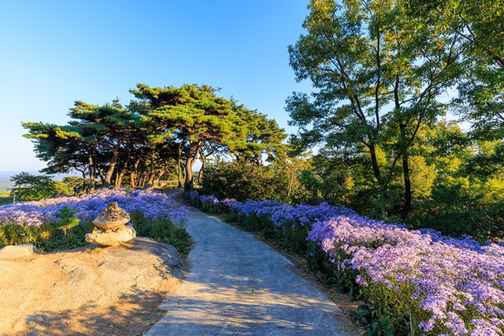봉천사 여행 추천 - 메고지고