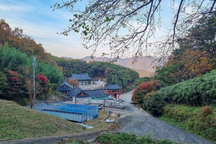 대법사(밀양) 여행 추천 - 메고지고