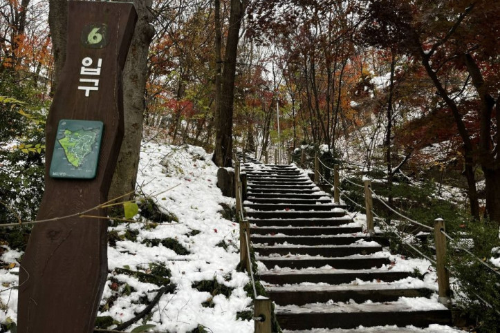 남산인권숲 여행 추천 - 메고지고
